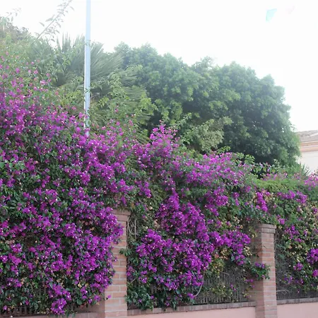 Appartement Domu Kokoro *