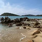 Domu Kokoro *