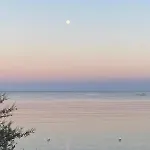 Domu Kokoro * Pula