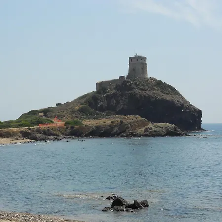 Domu Kokoro Daire Pula