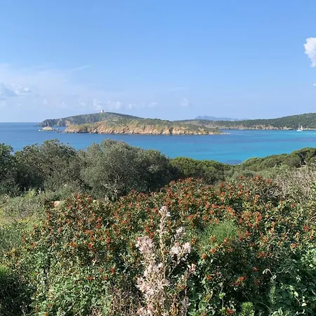 Διαμέρισμα Domu Kokoro